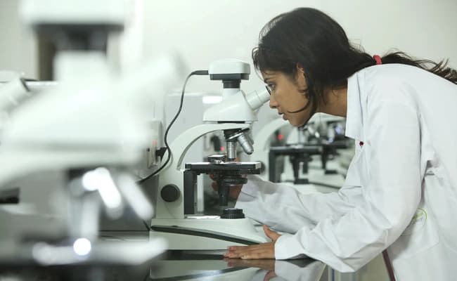 labs-4-labs-3