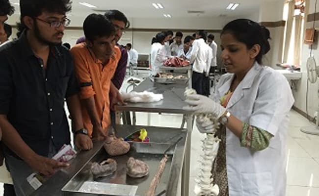 5-0014-lab-lab