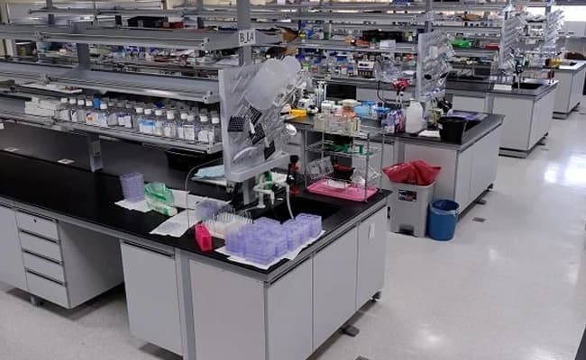 labs-2-labs
