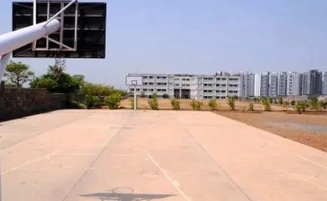 13.webp