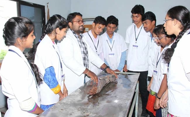 labs-2-labs-22