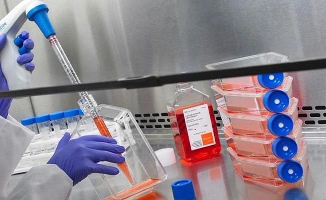 labs-4-labs-77