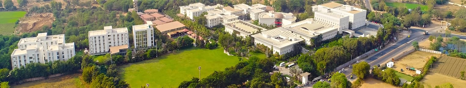 Karnavati University