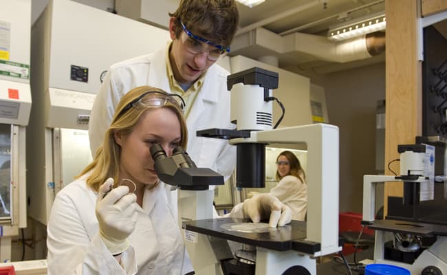 massachusetts-institute-of-technology-cambridge-labs-0004-layer-29-lab