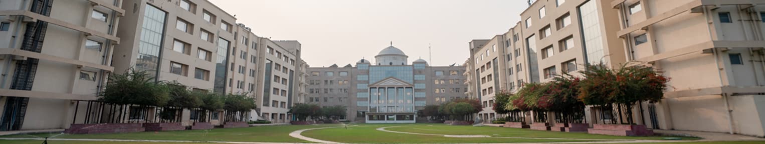 KR Mangalam University