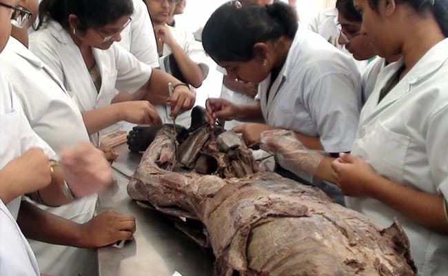 lab4-labs-2