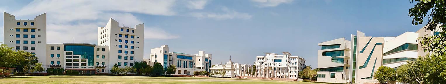 Suresh Gyan Vihar University