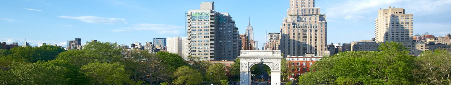 New York University
