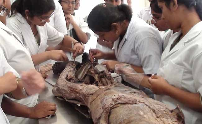 labs-4-labs-20