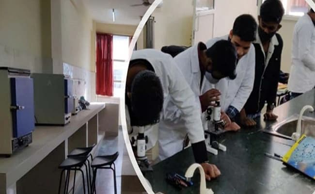 labs-5-labs-28
