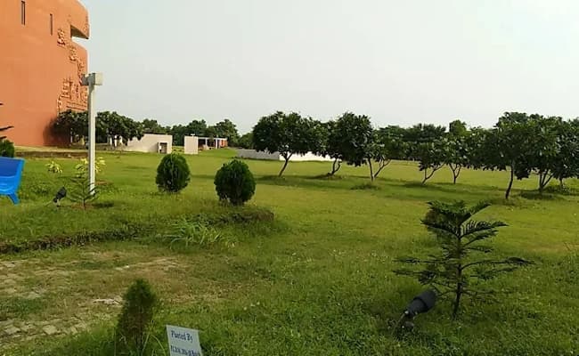 Ground 5.webp