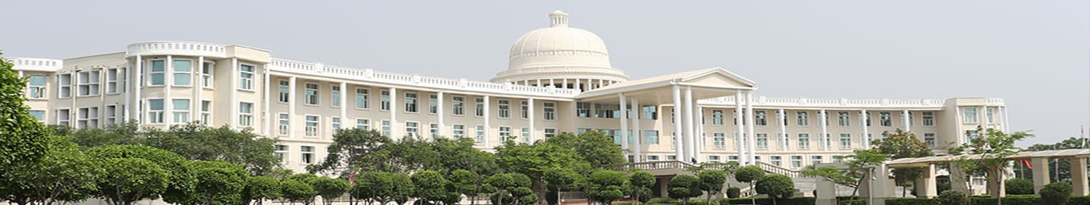 Noida International University NIU
