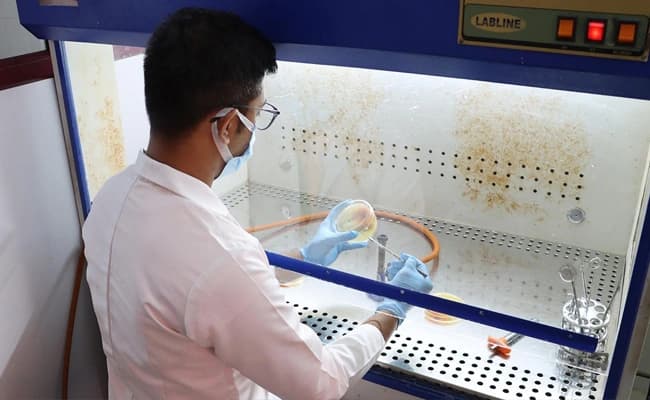 labs-2-labs-97