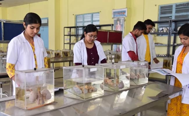 labs-3-labs-2