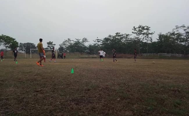 Ground 4.webp