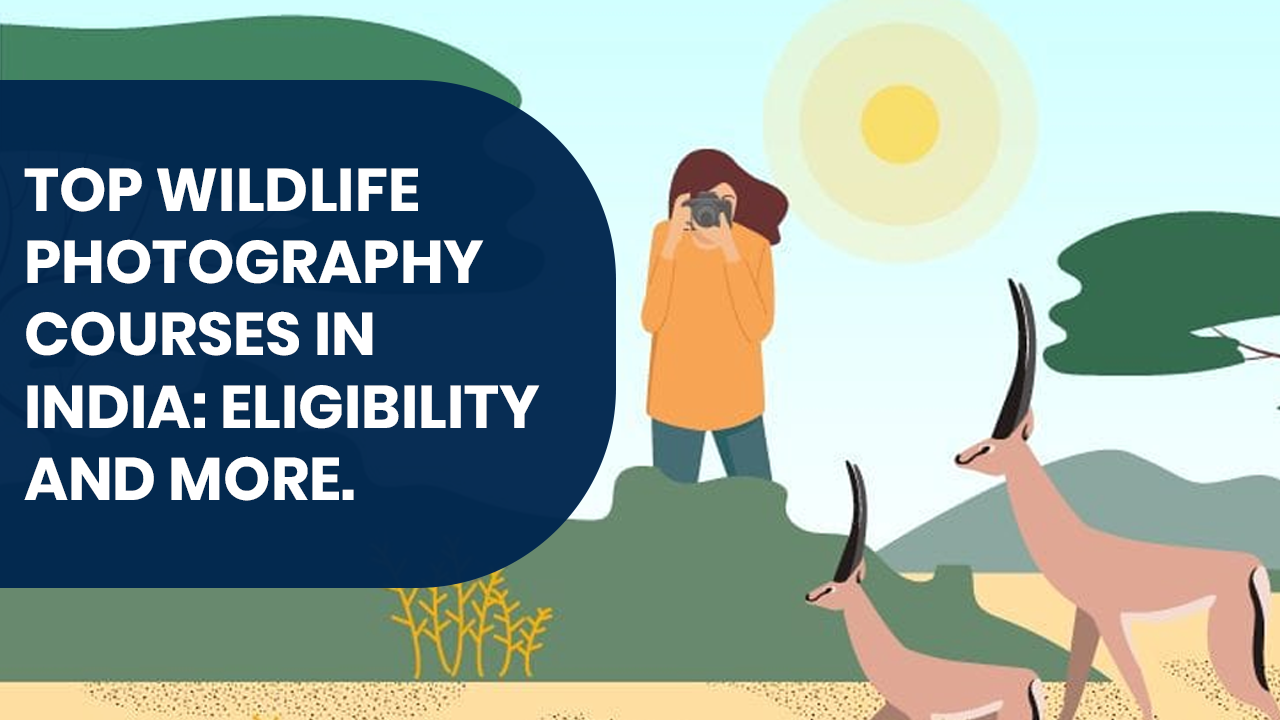 top-wildlife-photography-courses-in-india-eligibility-and-more-top-wildlife-photography-courses-in-india-eligibility-and-more